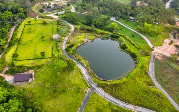 Artificial Lakes Service