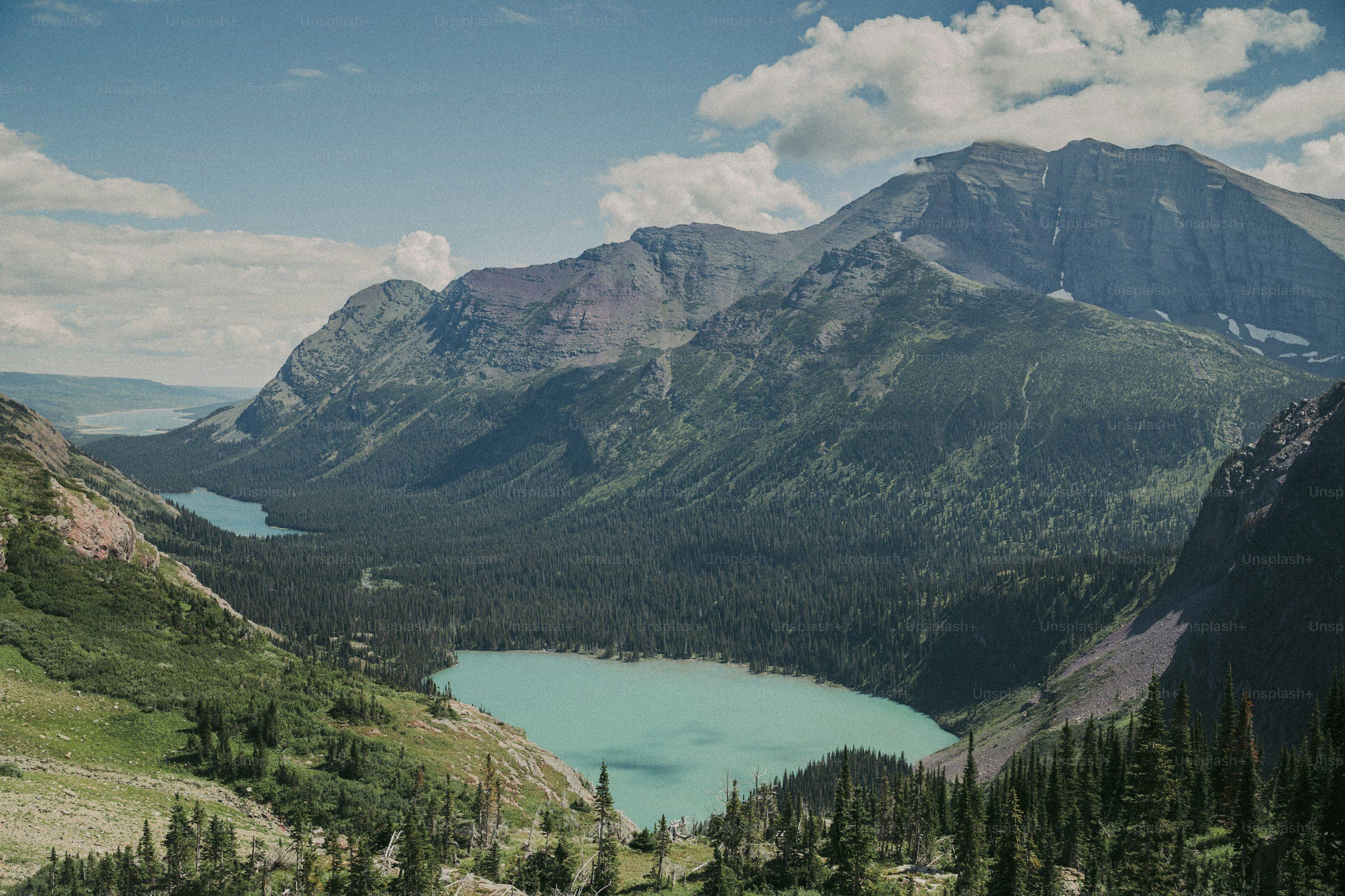 Landscaping and Aesthetics Services